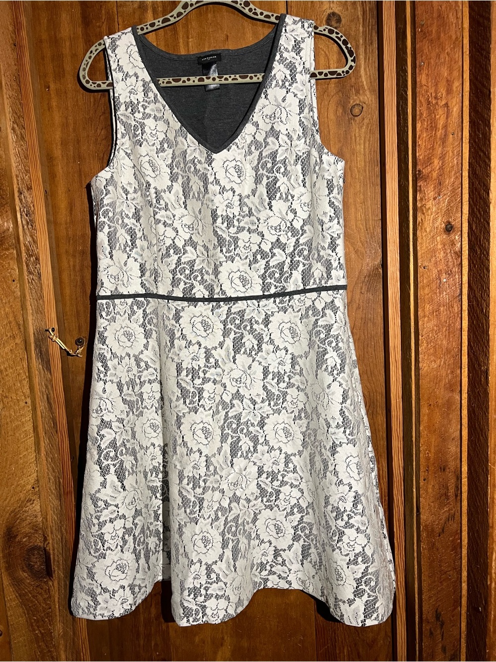 Ann Taylor Cream and Gray Lace Fit-and-Flare Dress